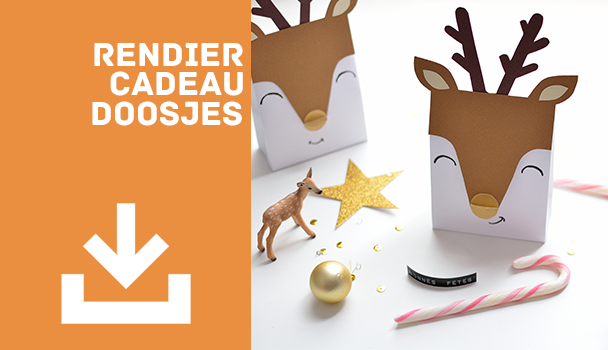 Gratis printable - Rendier doosjes