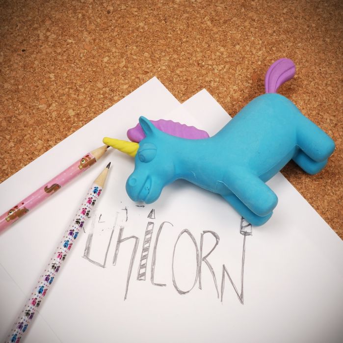 unicorn eenhoorn cadeau voor kerst of sint