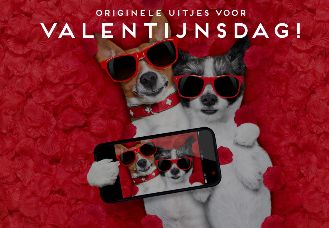 Symfonie Uitverkoop canvas 5x originele uitjes voor Valentijnsdag om je lief mee te verrassen!