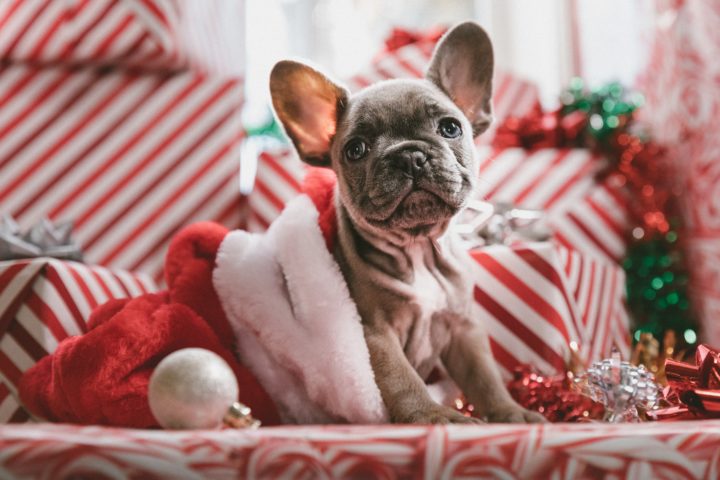 kerstcadeau voor je vriend