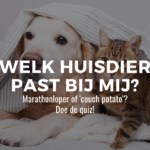 Welk huisdier past bij mij?