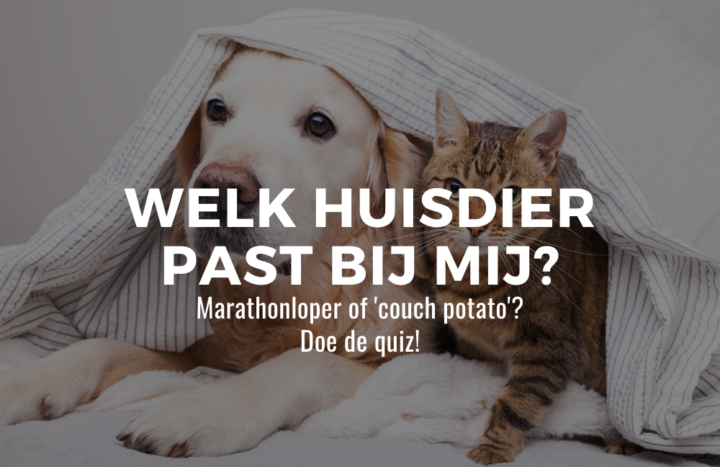 Welk huisdier past bij mij?