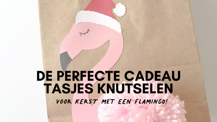 Cadeau tasjes kerst flamingo DIY radbag- wat nodig