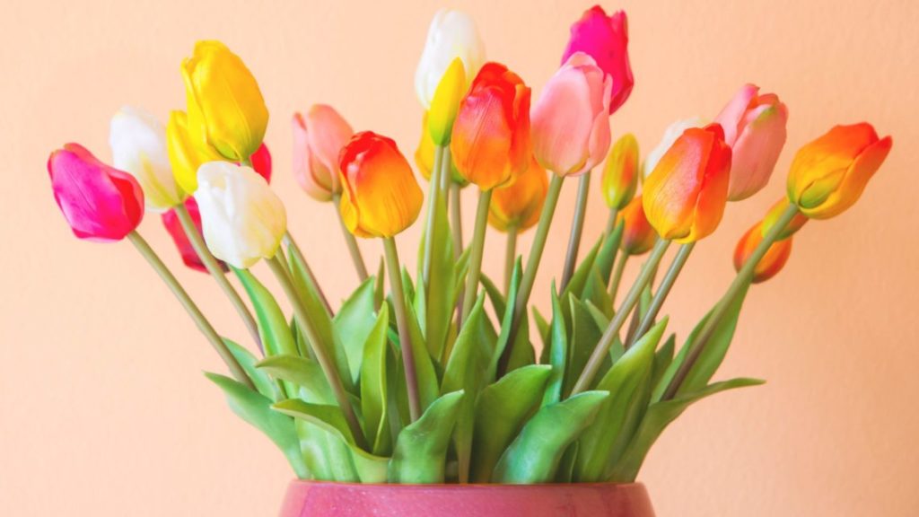 Tulpen in de Vaas praktische tips om ze lang goed te houden