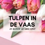 Tulpen in de Vaas praktische tips om ze lang goed te houden Header