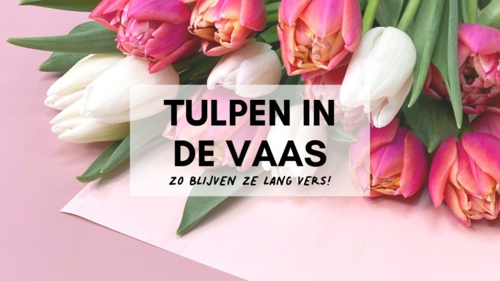 Tulpen in de Vaas praktische tips om ze lang goed te houden Header