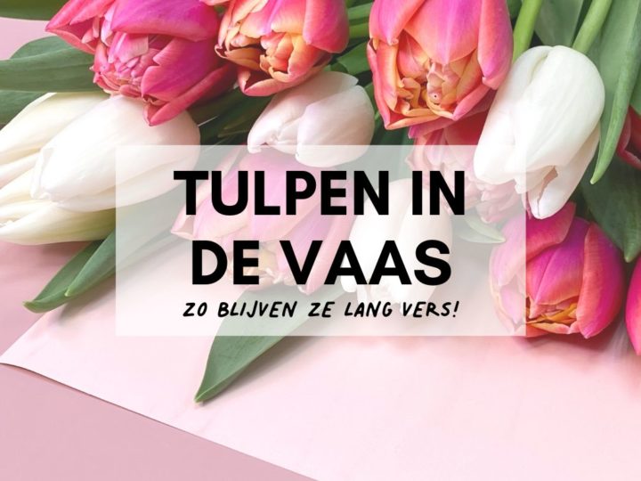 Tulpen in de Vaas praktische tips om ze lang goed te houden Header