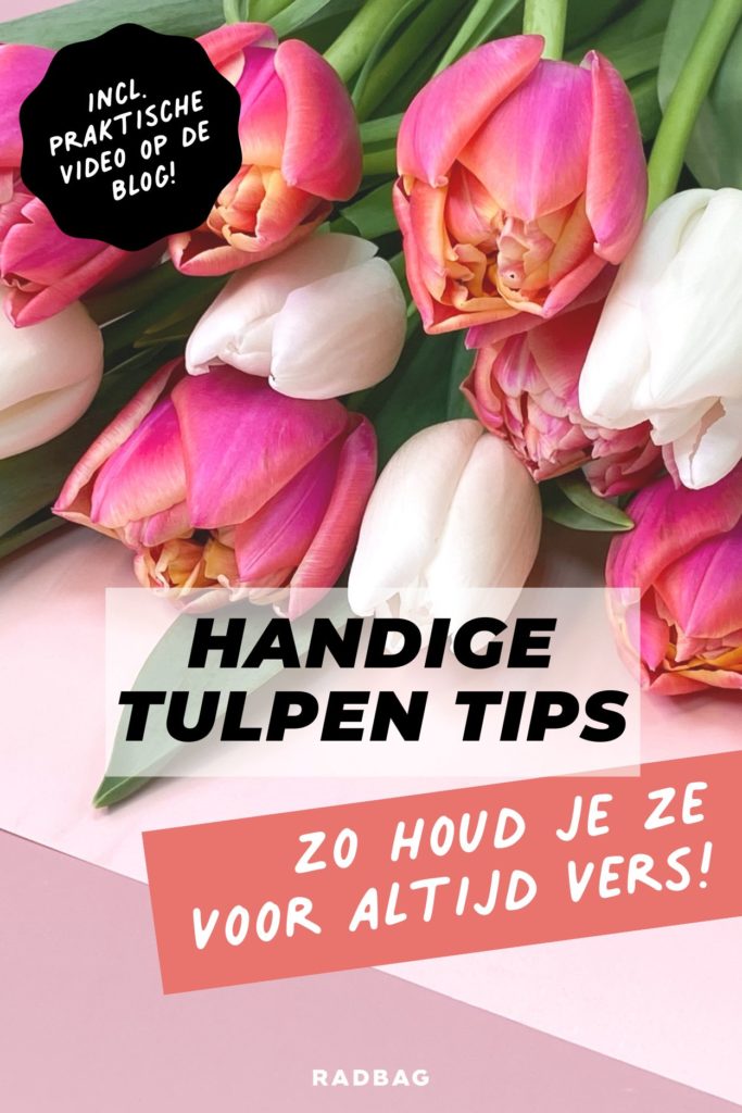 Tulpen in de Vaas praktische tips om ze lang goed te houden