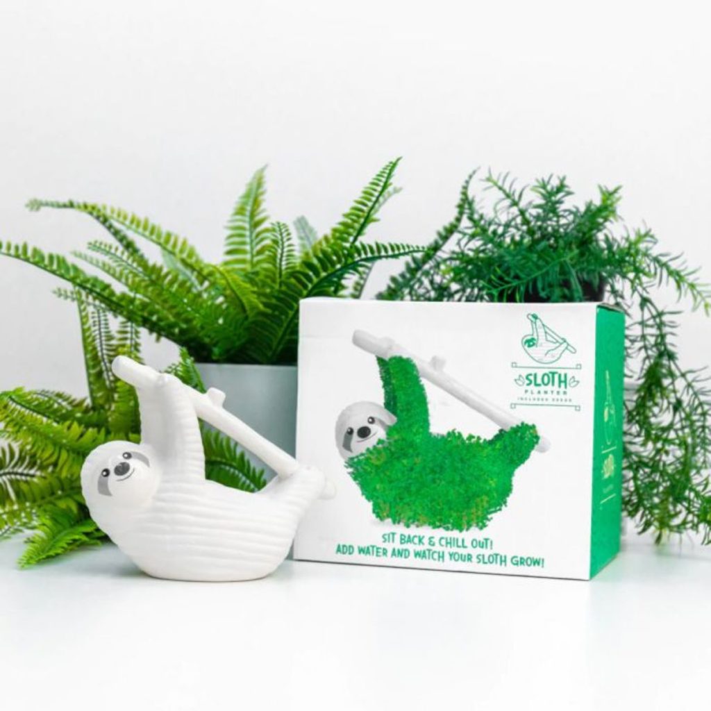 Voorjaar ideeen en cadeau chia planter