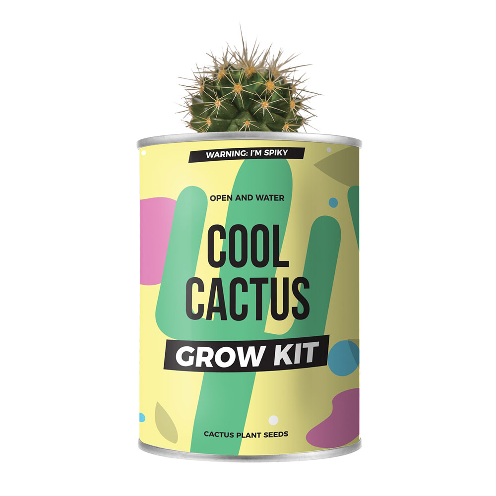 Cactus in blik