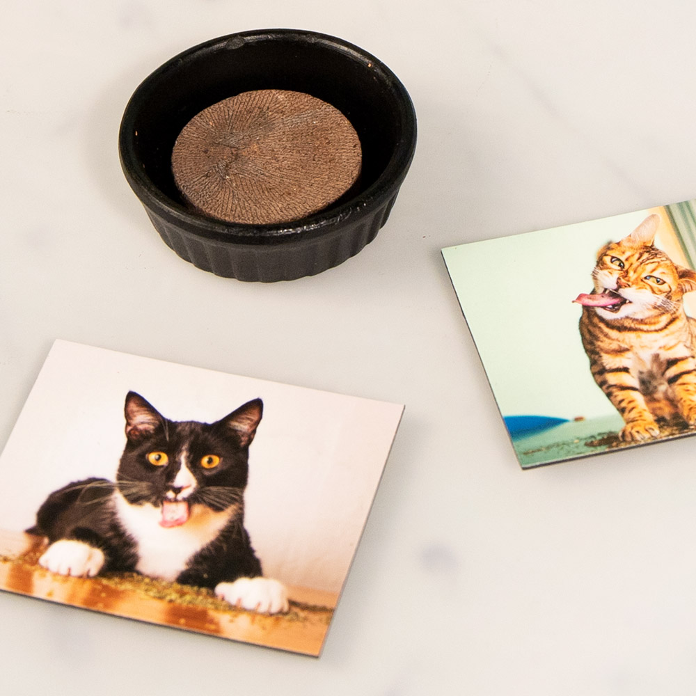 Kattenkruid voor hobbyteelt