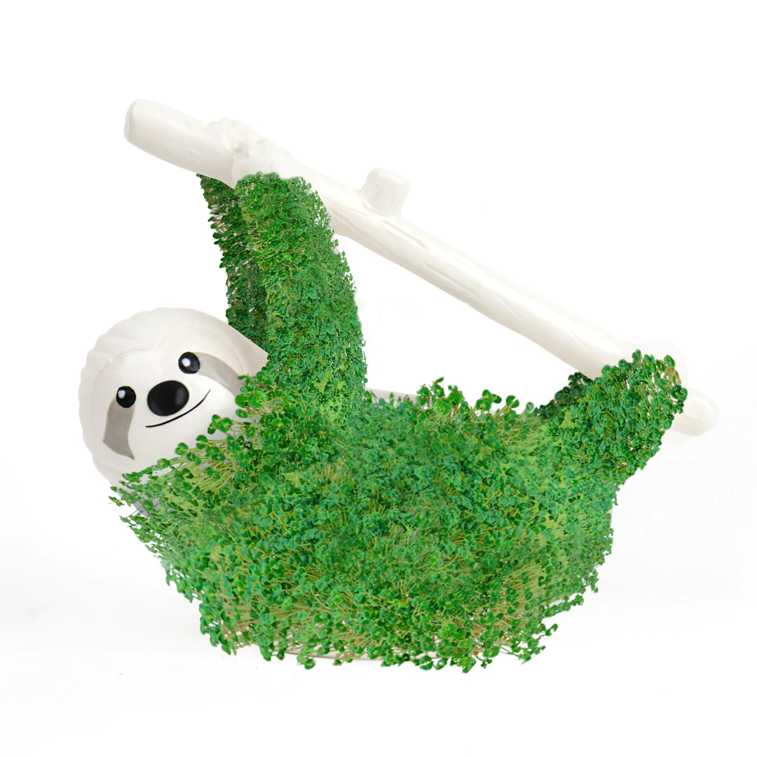 Chia Luiaard Planter - De Groene Luiaard