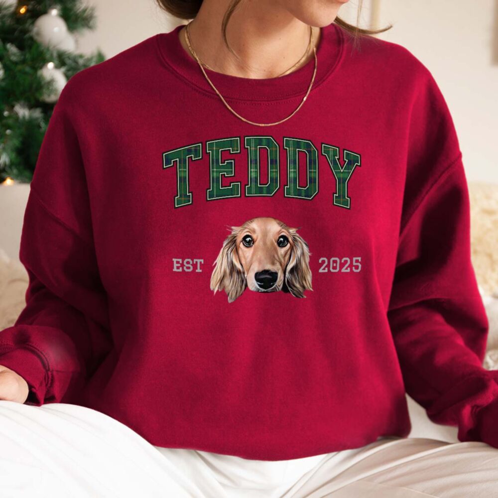 Personalisierter Pullover mit Haustier-Porträt, Namen und Jahr – College Design