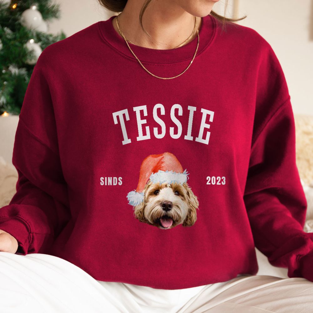 Personalisierbarer Pullover mit Haustier und Weihnachtsmütze