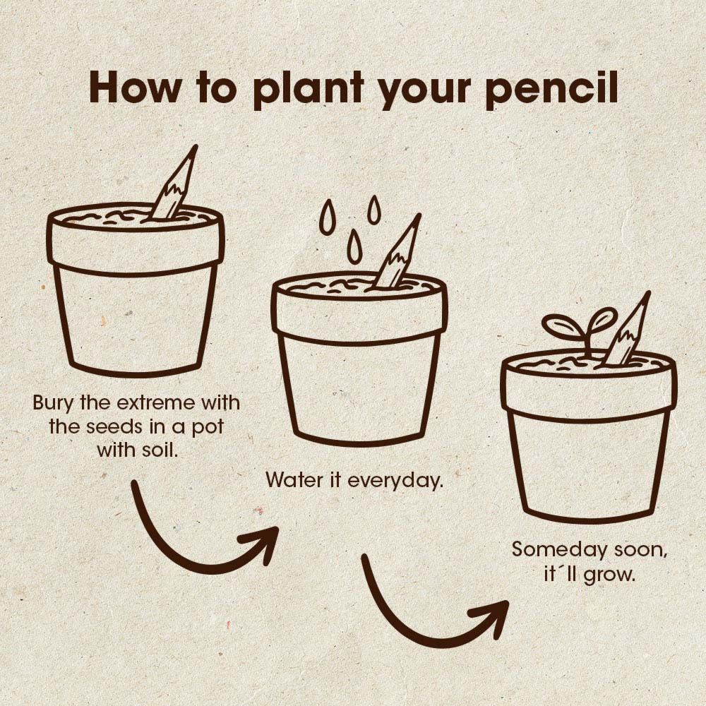 Plantbare potloden set van 5