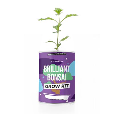 Bonsai uit een blik