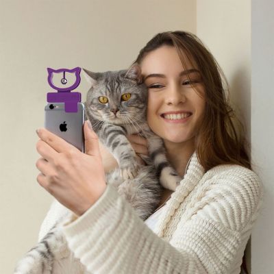 Katten selfie voor smartphones