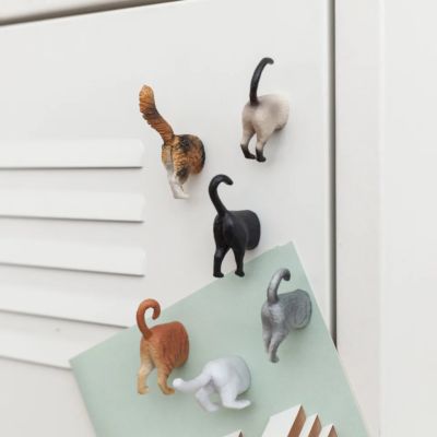 Katten Achterwerk Magneten Set van 6
