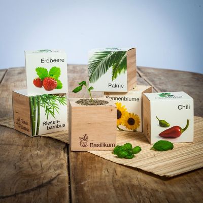 cadeau-voor-vriendin-ecocube-planten-in-houtblokken