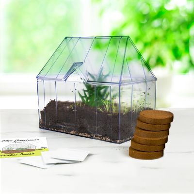Mini-Kas met Plantpakket