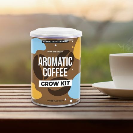 Koffieplant uit een blik