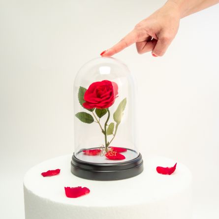 Beauty and The Beast - betoverde roos lamp