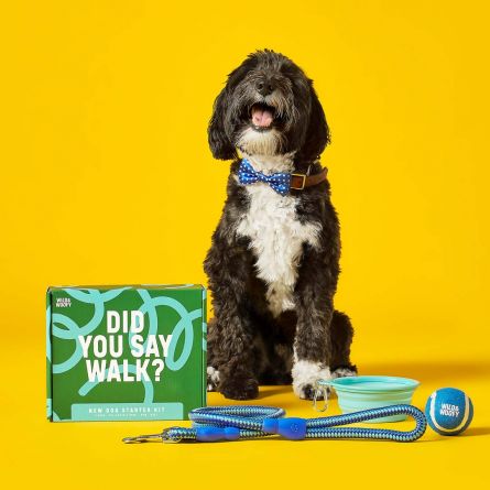 Set voor honden-beginners