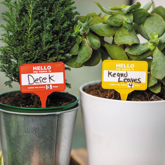Naamkaartjes voor planten set van 12 main product photo