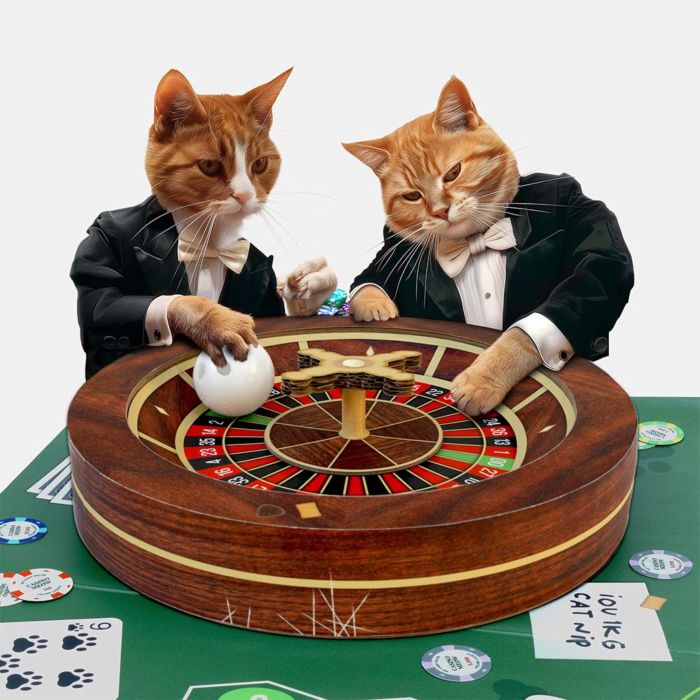 Roulette kattenspeeltje