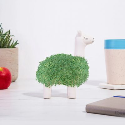 De Groene Lama Planter
