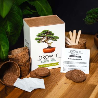 Grow It Bonsai boom