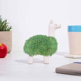 De Groene Lama Planter