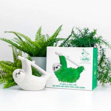 Chia Luiaard Planter - De Groene Luiaard