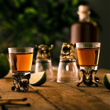 Wild Spirits shotglaasjes set van 4