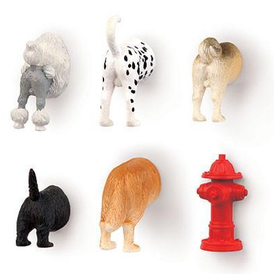 Hond Achterwerk Magneten Set van 6