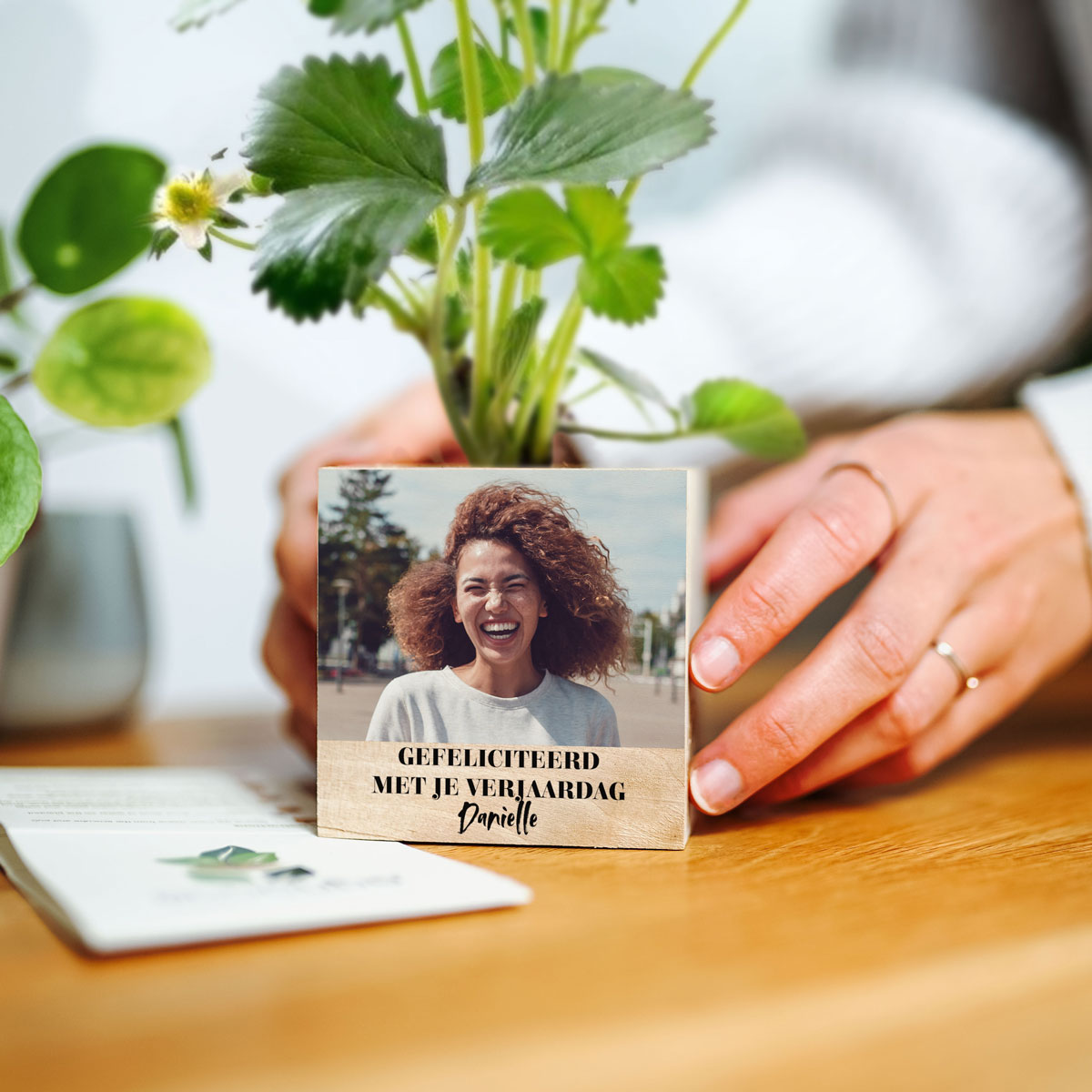 Ecocubes - Plantje in Houten Kubus met Grote Foto en Tekst