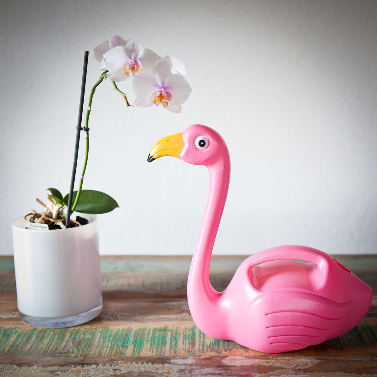 Flamingo Gieter