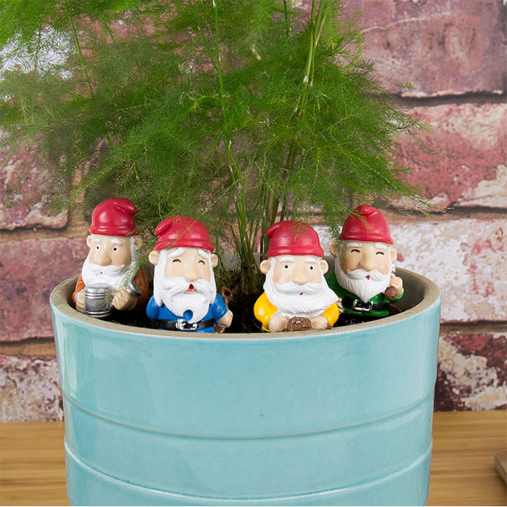 Set van 4 mini tuinkabouters