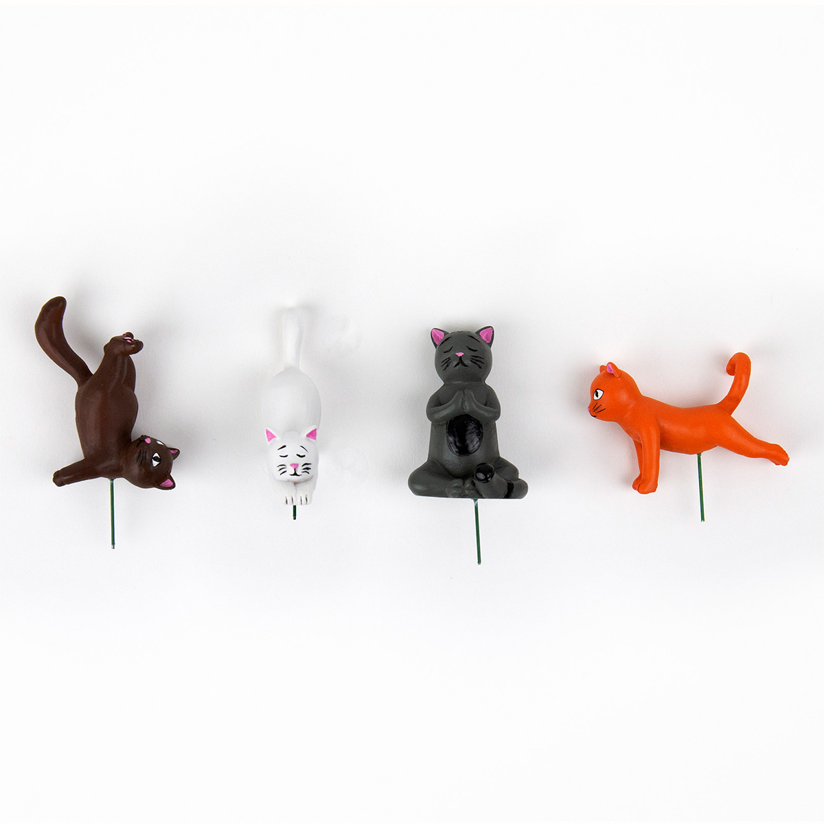 Yoga katten voor in de Bloempot