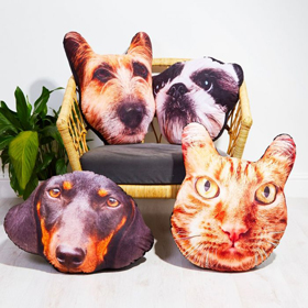 Dieren