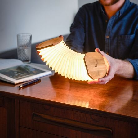 Gingko accordeon lamp