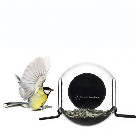 Birdfeeder vogelnest