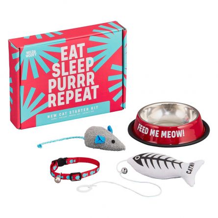 Set voor katten-beginners
