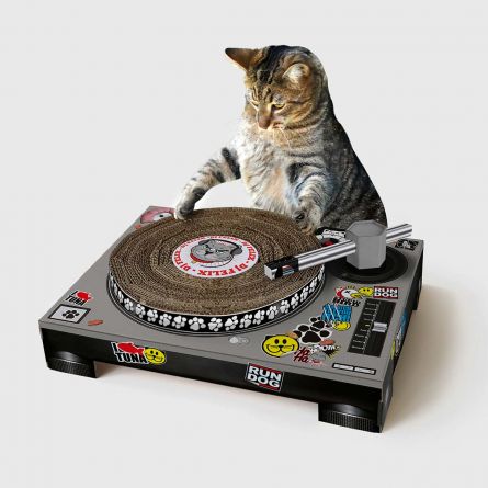 Krab platenspeler voor katten