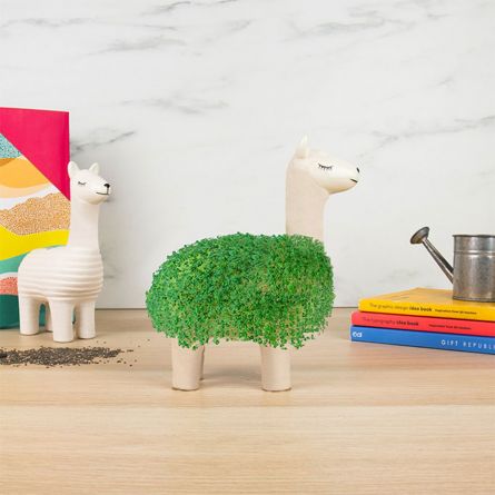 De groene lama