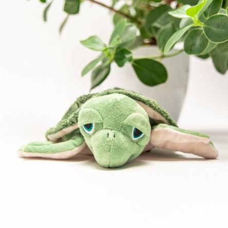 Verwarmbare schildpad