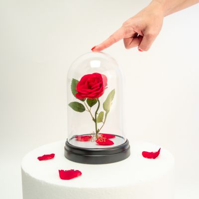 Beauty and The Beast - betoverde roos lamp Beauty and The Beast - betoverde roos lamp
