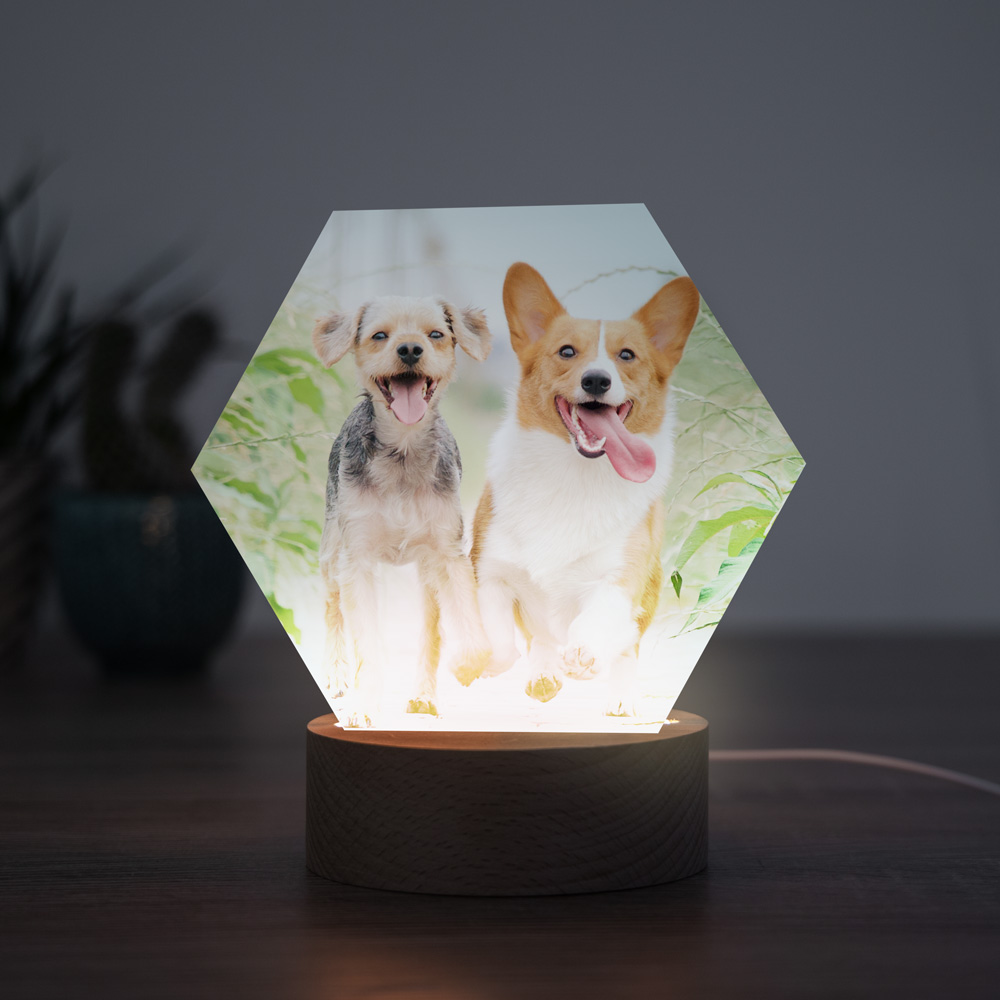 Huisdieren cadeau LED lamp met foto Huisdieren cadeau LED lamp met foto